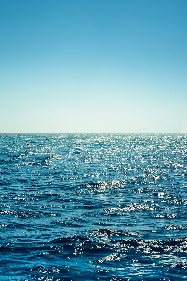 大井インベスト＆マネジメント