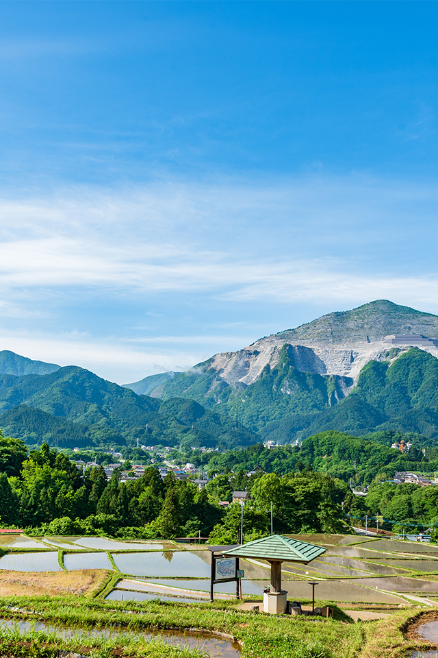 大井インベスト＆マネジメント